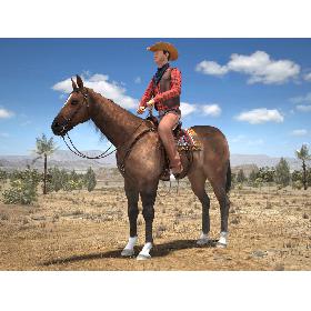 Cowboy on the horse